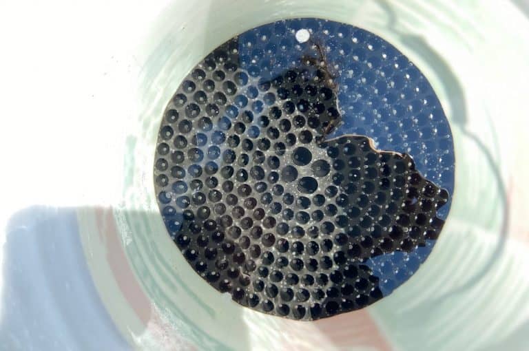 What is a TwoBucket Car Wash Why You Should Do it! The Vehicle Lab